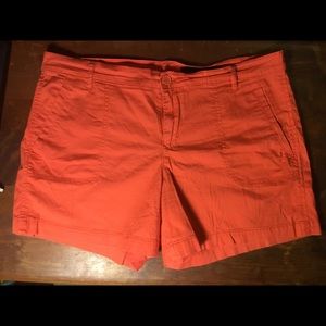 Classy Calvin Klein Chino Shorts